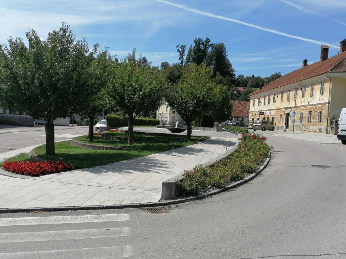Apartments Bukor Lukovica pri Domzalah Екстер'єр фото