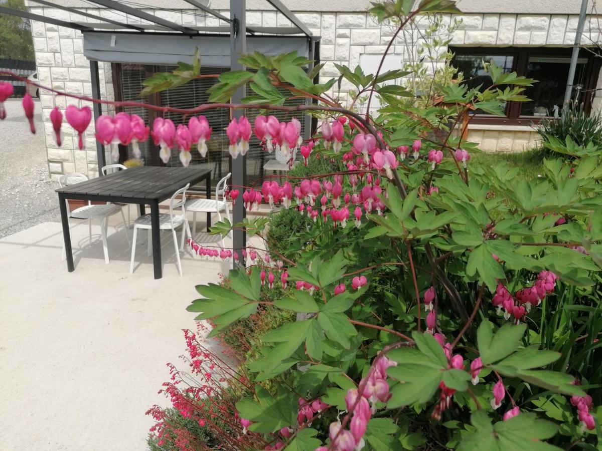 Apartments Bukor With Seasonal Pool Lukovica pri Domzalah Екстер'єр фото